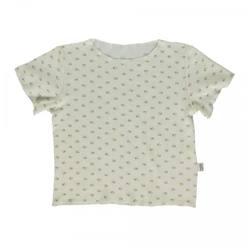 Bouleau T-shirt